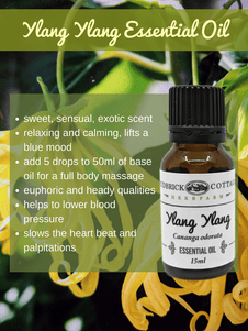 Ylang Ylang Essential Oil benefits & uses